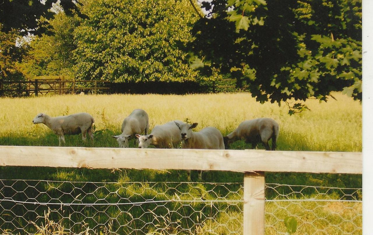 Bank Farm Cottages Nantwich Eksteriør bilde